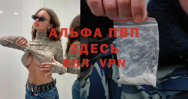 спиды Белокуриха