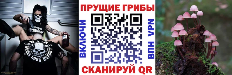 Галлюциногенные грибы мицелий  Воркута 