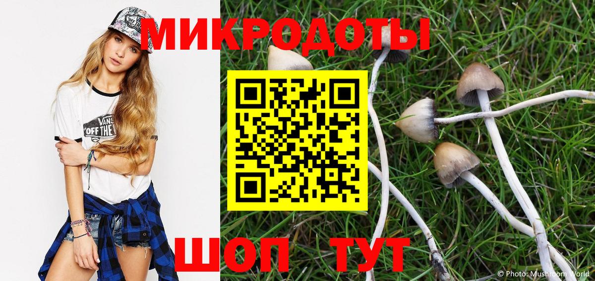Галлюциногенные грибы Magic Shrooms  Псилоцибиновые грибы мицелий  Воркута 