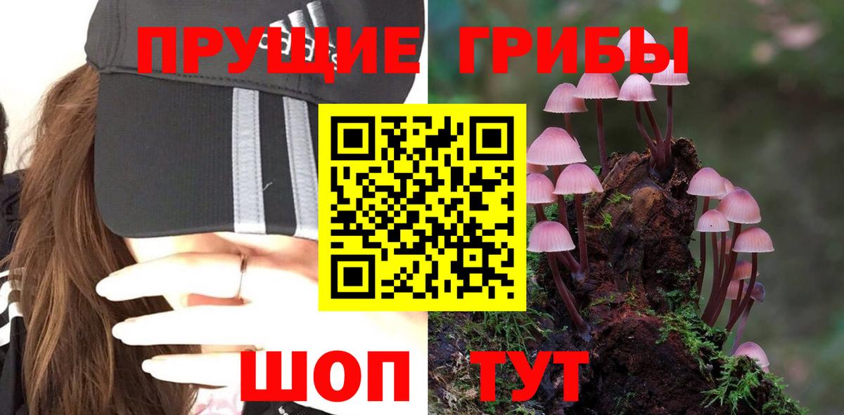 Псилоцибиновые грибы мицелий Воркута