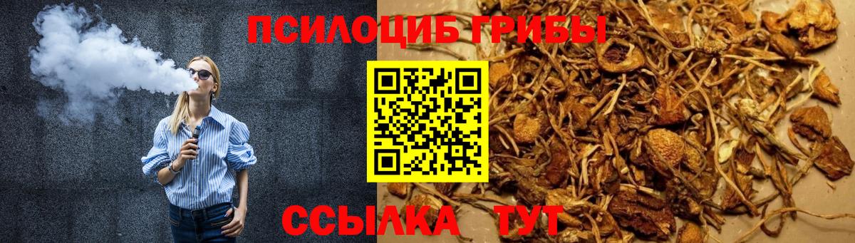 Галлюциногенные грибы Psilocybe Воркута