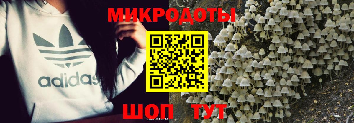 Воркута  Псилоцибиновые грибы мухоморы  Вход с VPN 